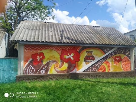 В Винницкой области художники разрисовали полтора десятка домов в маленьком селе В Винницкой области художники разрисовали полтора десятка домов в маленьком селе