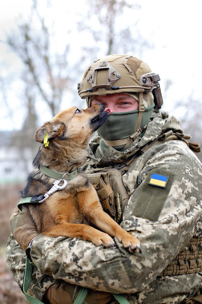 В Житомире военные помогают найти семью бездомным животным В Житомире военные помогают найти семью бездомным животным