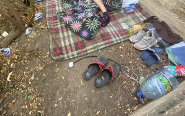 Жил в парке под забором и играл с котенком &ndash; украинцы забили тревогу из-за бездомного малыша