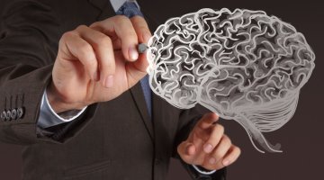 Почему ошибки – это путь к успеху: мозг можно натренировать, как мышцы Почему ошибки – это путь к успеху: мозг можно натренировать, как мышцы