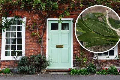 "Клоун, шут или придурок": Кислица поставил Лаврова на место за слова об Украине
"Клоун, шут или придурок": Кислица поставил Лаврова на место за слова об Украине