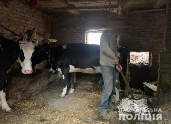 Держала в сарае: жертвами украинской пенсионерки стали трое мужчин Держала в сарае: жертвами украинской пенсионерки стали трое мужчин