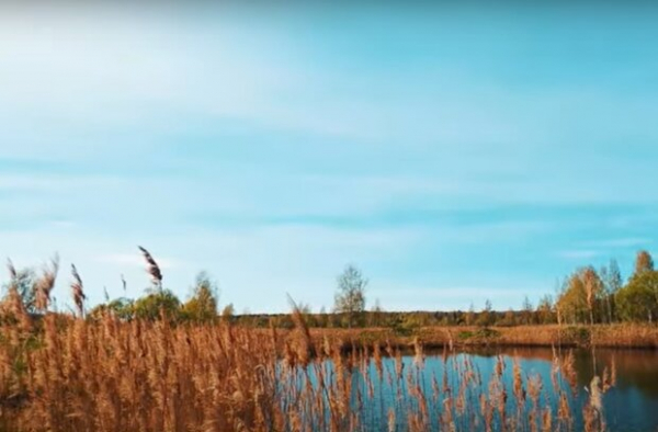 В Украине выходные испортит нежелательное погодное явление: подробный прогноз для всех областей на 5 и 6 ноября