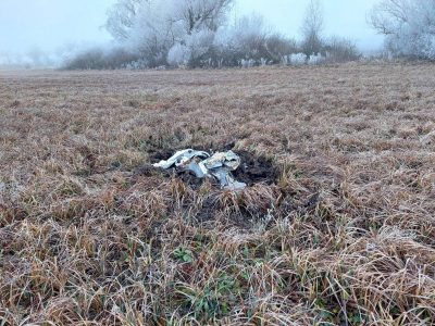 "Каково быть рядом с мясником?": Кислица жестко наехал на "слепых" коллег в ООН
"Каково быть рядом с мясником?": Кислица жестко наехал на "слепых" коллег в ООН