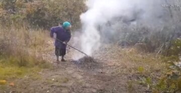 Перестаньте жечь опавшие листья: как они моугт помочь вам в огороде и не вредить окружающим Перестаньте жечь опавшие листья: как они моугт помочь вам в огороде и не вредить окружающим