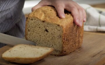 Почему хлеб быстро плесневеет: факт, о котором мало кто догадывается Почему хлеб быстро плесневеет: факт, о котором мало кто догадывается