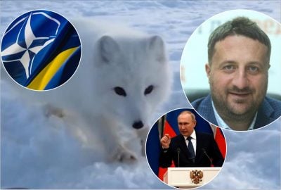 Более десятка стран за Украину в НАТО даже без ПДЧ, переговоры продолжаются
Более десятка стран за Украину в НАТО даже без ПДЧ, переговоры продолжаются