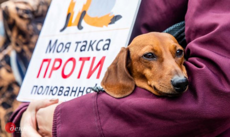 В Киеве прошел Всеукраинский марш за права животных В Киеве прошел Всеукраинский марш за права животных