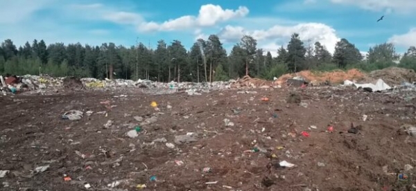 Как в Украине работает сортировка мусора, и есть ли в этом смысл: ни одного перерабатывающего завода