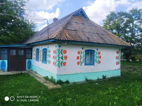 В Винницкой области художники разрисовали полтора десятка домов в маленьком селе В Винницкой области художники разрисовали полтора десятка домов в маленьком селе