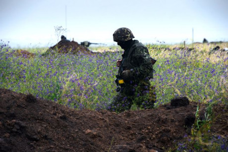 В Украине выполнили указ президента о помиловании 31 участника боевых действий В Украине выполнили указ президента о помиловании 31 участника боевых действий