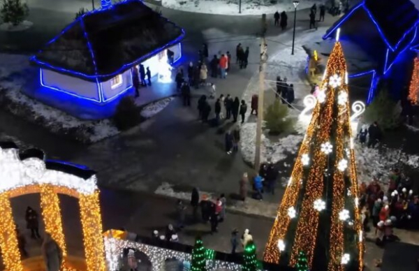 Украинцы превратили село в Лас-Вегас перед Рождеством: в гирляндах дома, коморы и бульдозер Украинцы превратили село в Лас-Вегас перед Рождеством: в гирляндах дома, коморы и бульдозер