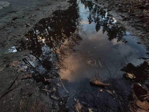 Прогноз погоды на декабрь: дожди, теплые рекорды и сильный ветер Прогноз погоды на декабрь: дожди, теплые рекорды и сильный ветер