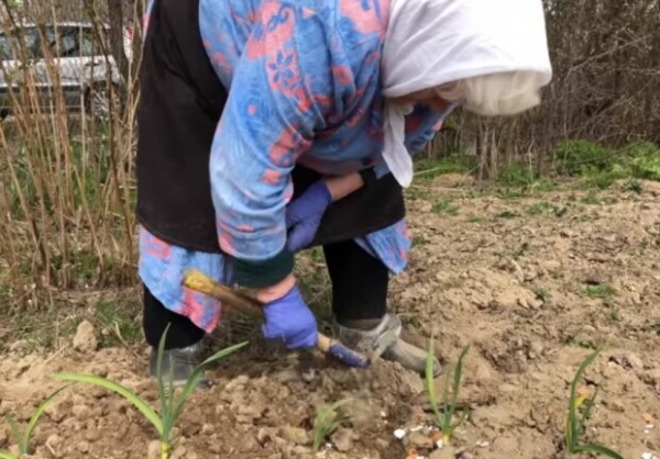 Планы "Слуг народа" лишить украинцев субсидий разнесли в щепки: "Лучше погибнуть, а то затаскают по судам" Планы "Слуг народа" лишить украинцев субсидий разнесли в щепки: "Лучше погибнуть, а то затаскают по судам"