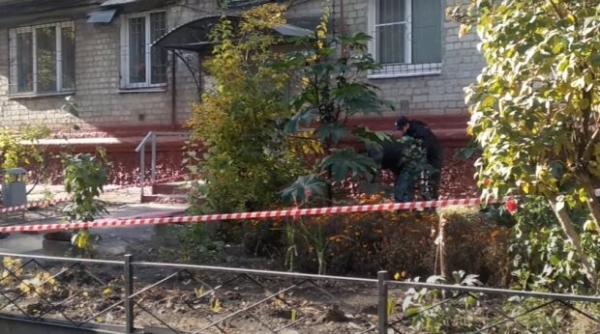 Мамаша выбросила своих малышек из окна: саму забрали с ножевым Мамаша выбросила своих малышек из окна: саму забрали с ножевым