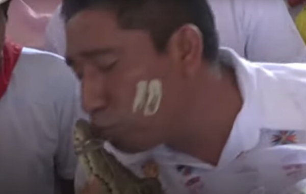 Мэр женился на аллигаторе в свадебном платье: интимная церемония и страстные поцелуи Мэр женился на аллигаторе в свадебном платье: интимная церемония и страстные поцелуи