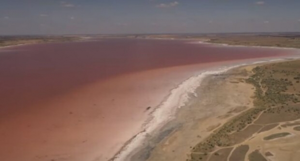 Розовая вода — под Одессой разразилась красивая эко-катастрофа Розовая вода — под Одессой разразилась красивая эко-катастрофа