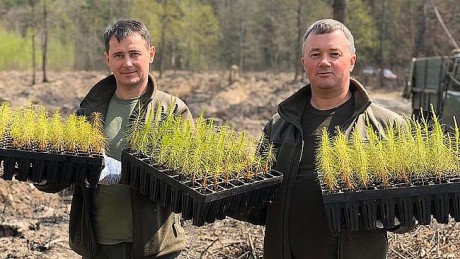 В Житомирской области высадили 3955 гектаров леса