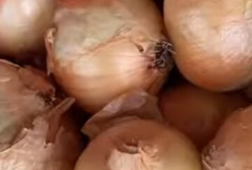 Секретные лайфхаки с луком, о которых знают только лучшие повара: ваши блюда заиграют по-новому Секретные лайфхаки с луком, о которых знают только лучшие повара: ваши блюда заиграют по-новому