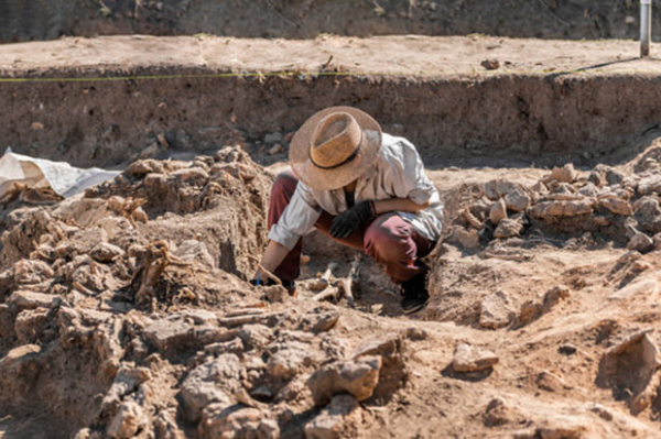 В Габонской пещере археологи нашли 500-летнее захоронение с черепами без зубов В Габонской пещере археологи нашли 500-летнее захоронение с черепами без зубов