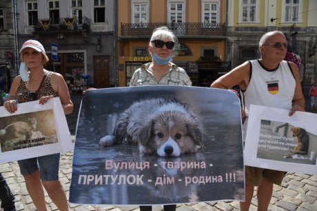 Во Львове зоозащитники потребовали от городских властей построить приют для животных Во Львове зоозащитники потребовали от городских властей построить приют для животных