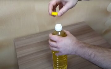 Кроме соли и растительного масла больше ничего не нужно: в чем вам точно поможет этот дуэт Кроме соли и растительного масла больше ничего не нужно: в чем вам точно поможет этот дуэт