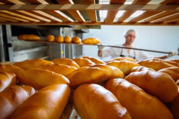 Почему хлеб быстро плесневеет: факт, о котором мало кто догадывается Почему хлеб быстро плесневеет: факт, о котором мало кто догадывается