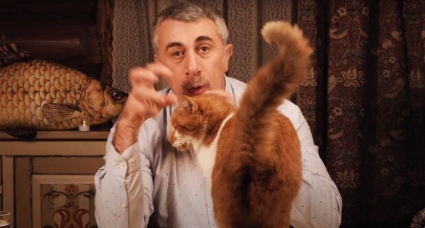 Комаровский заговорил о сперматозоидах и свежих огурцах при лечении ковида: "Надо тренировать орган" Комаровский заговорил о сперматозоидах и свежих огурцах при лечении ковида: "Надо тренировать орган"