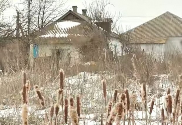 Годовалый ребенок навсегда сбежал из сельского дома и замерз в камышах: мама забыла закрыть дверь Годовалый ребенок навсегда сбежал из сельского дома и замерз в камышах: мама забыла закрыть дверь