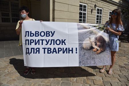 Во Львове зоозащитники потребовали от городских властей построить приют для животных Во Львове зоозащитники потребовали от городских властей построить приют для животных