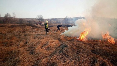 В Чернобыльской зоне локализовали два последние очаги пожара В Чернобыльской зоне локализовали два последние очаги пожара