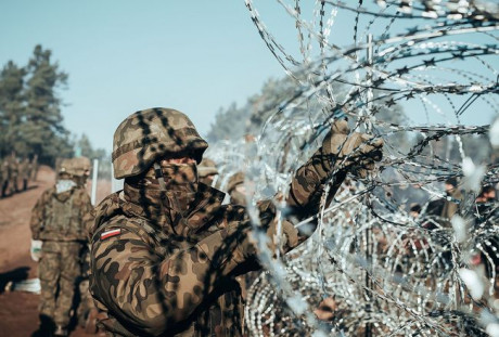 Большая группа мигрантов пыталась прорваться в Польшу из Беларуси Большая группа мигрантов пыталась прорваться в Польшу из Беларуси