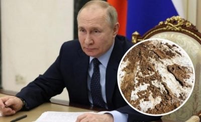 Путин клянчит переговоры с Украиной: президент Гвинеи-Бисау передал Зеленскому "сигналы Кремля"
Путин клянчит переговоры с Украиной: президент Гвинеи-Бисау передал Зеленскому "сигналы Кремля"