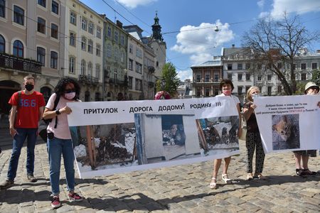 Во Львове зоозащитники потребовали от городских властей построить приют для животных Во Львове зоозащитники потребовали от городских властей построить приют для животных