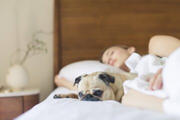 Если вы встаете ночью в туалет, то время насторожиться: что говорят врачи и народные приметы об этом Если вы встаете ночью в туалет, то время насторожиться: что говорят врачи и народные приметы об этом