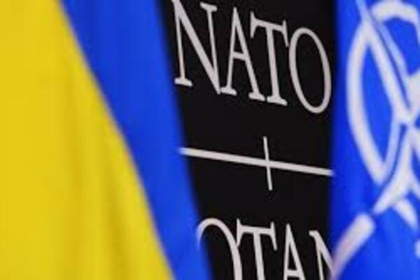 
Зеленский подписал указ о годовой программе Украина-НАТО
 