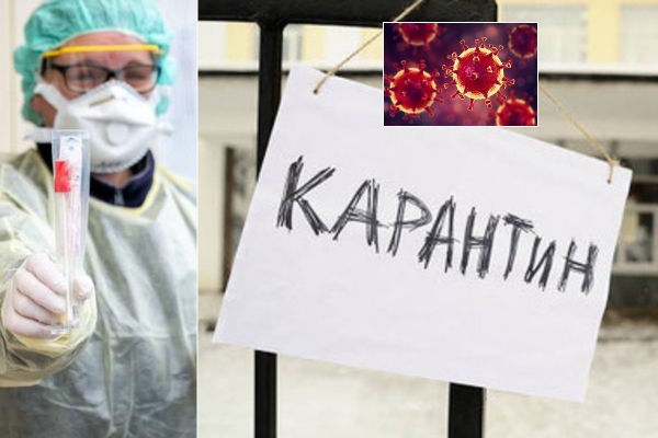 Коронавирус не очень вреден, смертность может быть завышена. Интервью с американским вирусологом, работающим над вакцинами
Коронавирус не очень вреден, смертность может быть завышена. Интервью с американским вирусологом, работающим над вакцинами