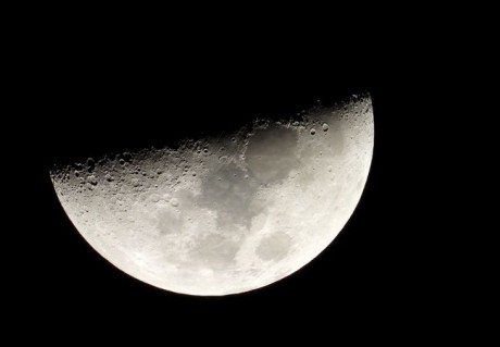 SpaceX выиграла контракт НАСА по разработке космического аппарата для доставки астронавтов на Луну SpaceX выиграла контракт НАСА по разработке космического аппарата для доставки астронавтов на Луну