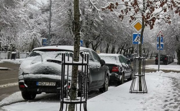 В Украине разрешили законно забирать авто на европейских номерах: плюс индивидуальный штраф В Украине разрешили законно забирать авто на европейских номерах: плюс индивидуальный штраф