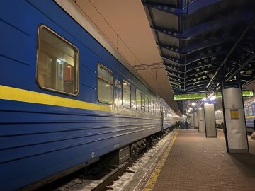 Воруют даже в закрытом купе: Анна Тринчер стала жертвой преступления Воруют даже в закрытом купе: Анна Тринчер стала жертвой преступления