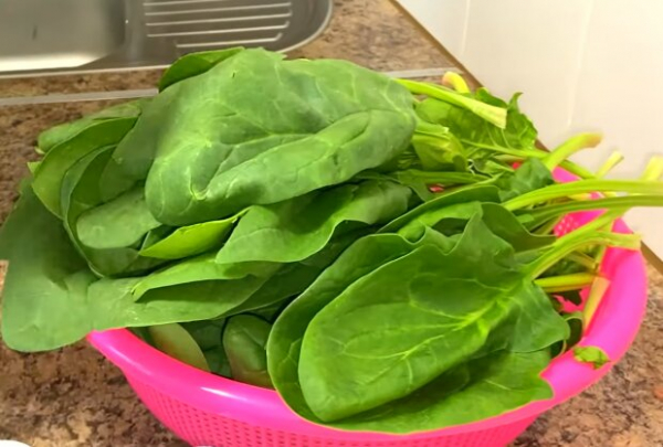 Поел шпинат и "поймал белочку": популярный продукт может вызывать галлюцинации и помутнение зрения Поел шпинат и "поймал белочку": популярный продукт может вызывать галлюцинации и помутнение зрения