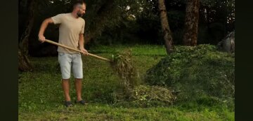 Гнилые яблоки пригодятся: как подкормить компост качественным удобрением Гнилые яблоки пригодятся: как подкормить компост качественным удобрением