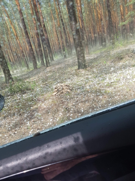 Мощнейший ураган в Польше разрушил более 20 домов: фото и видео торнадо
Мощнейший ураган в Польше разрушил более 20 домов: фото и видео торнадо
