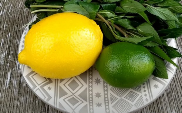 Ни в коем случае не в пакете: почему вы храните лимоны неправильно и как это делать верно Ни в коем случае не в пакете: почему вы храните лимоны неправильно и как это делать верно