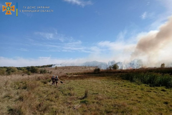 В Винницкой области только за одни сутки произошло 10 пожаров в экосистемах В Винницкой области только за одни сутки произошло 10 пожаров в экосистемах