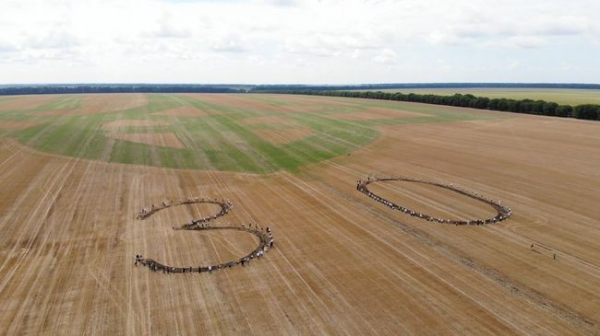 В Винницкой области аграрии посеяли из горчицы огромный трезубец и установили национальный рекорд