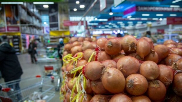 Слезы не помогут: в Украине лук стал "королевским" овощем, цены пробили исторический рекорд Слезы не помогут: в Украине лук стал "королевским" овощем, цены пробили исторический рекорд