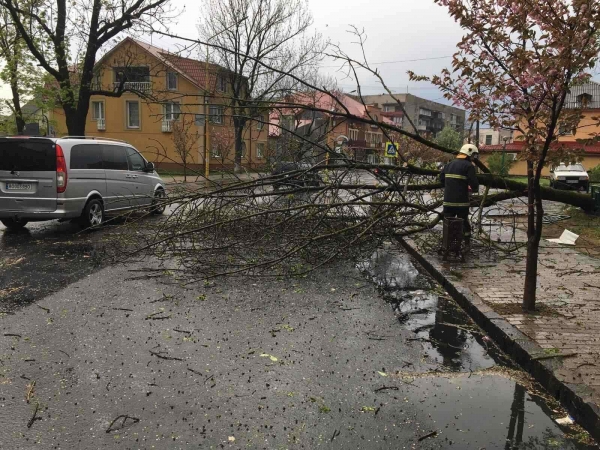 На Закарпатье разбушевался ураган: ветер сорвал крыши, в горах выпал снег. Фото и видео
На Закарпатье разбушевался ураган: ветер сорвал крыши, в горах выпал снег. Фото и видео