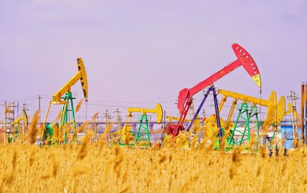Цены на нефть обвалились на мировых рынках Цены на нефть обвалились на мировых рынках