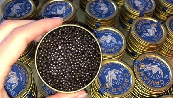 Червяковая, лягушиная и устричная: необычные фермы Украины Червяковая, лягушиная и устричная: необычные фермы Украины